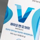 월드코리아 이미지