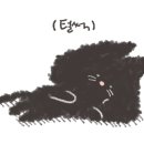 소코
