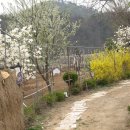 마음농장 이미지