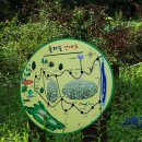 이효석길 이미지