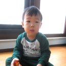 아기곰맘마 이미지