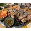 불타는꽃돼지 이미지