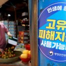 올리브영전북
