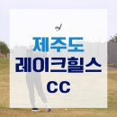 레이크힐스골프장 | 제주도 골프장 추천으로 레이크힐스cc 다녀온 후기