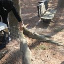 경남야생동물구조센터 이미지