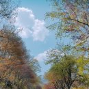 소향가든펜션 이미지