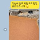 아침 출근 인사 이미지