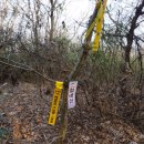 곡성-143 이미지