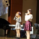 마지오 이미지
