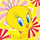 트위티 카카오 검색결과