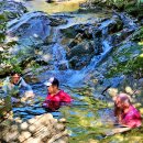 먹뱅이골 이미지