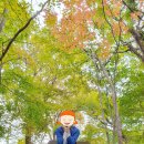 대박난원 | 항상 추천하고 싶은 제주도 무료 여행지 한라생태숲