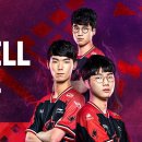 바이퍼코리아 이미지