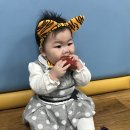 시화점포토센터 | 문센데이 애기똥풀