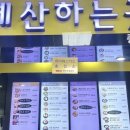 만리포뚱돼지 이미지