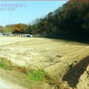 대추밭골 이미지