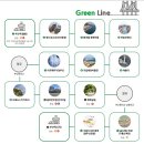 그린라인 이미지