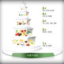 장루(Ileostomy &amp; Colostomy)를 가진 환자의 영양요법 이미지