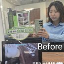 글라라헤어