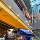 푸드폴멍 이미지