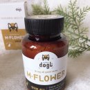 제일바이오펫 이미지