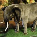 현우행정사 이미지