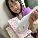 먼지 걱정 없는 촉촉한 미용티슈 찾는다면? 세로고침 엔틱 촉촉한 보습 미용티슈