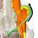 짐포레스트 방배점 이미지
