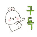 집밥멍선생 이미지