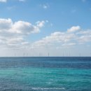 곽지올레 이미지