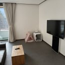 글램독청평 이미지