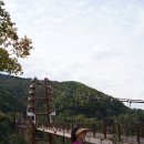 좌구산자연휴양림 이미지