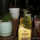 연포분교 이미지