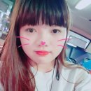 송백로-2 Daum카페