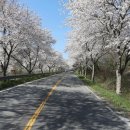 대성농업협동조합(하나로마트) 이미지