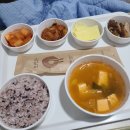 [수술, 입원] 춘해병원 자궁근종 다빈치 sp 단일공 수술 후기 2 (입원, 수술 당일)