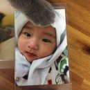 아오타 이미지