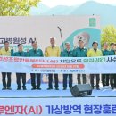 정선방역