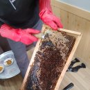 레인보우펜션 이미지