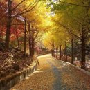사랑해사랑해 Daum카페