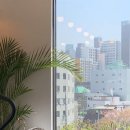 프로핏짐 이미지