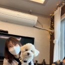 The 설레임 이미지