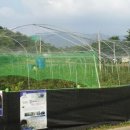 반곡 농장 이미지