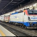 H4437 이미지