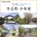 보령 나들이 2코스 | 5월 봄나들이 충남 보령 무궁화 수목원 배꽃 조팝나무 터널 후기