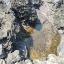 토종목장 이미지