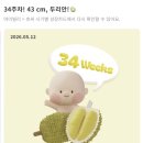 대상빌딩 | 임신 기록 #14 :: 33주 ~ 34주 임신기록ㅣ피비침 증상...주사, 막달검사 후기ㅣ부산진시장 꼬마방 출산...