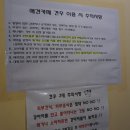 견우애견 이미지