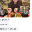 2025 가지마