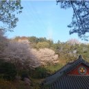 석전동124 이미지